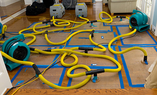 Professional Storm Water Damage Restoration technician working in Lake Andes, SD
